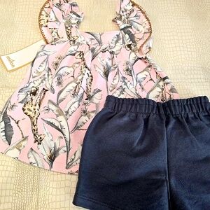 Brand New Cute Pink and Gray with Giraffe Toddler Girls Outfit 3T